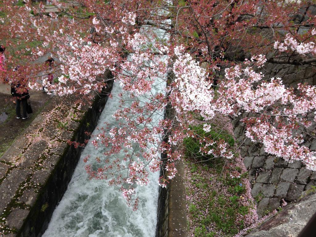 Yunokian Villa Kyoto Bagian luar foto